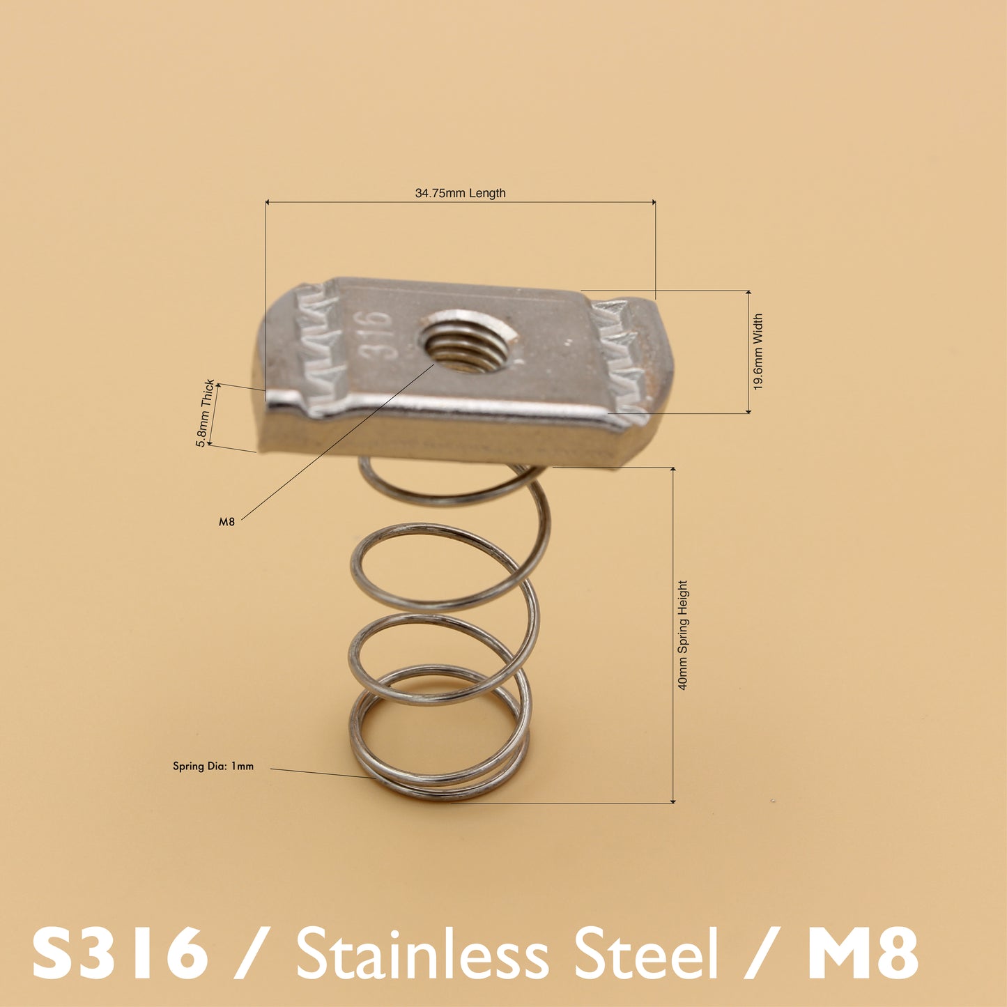 S316 Long Spring Nut | Stainless Steel Unistrut Nut (M6-M12)