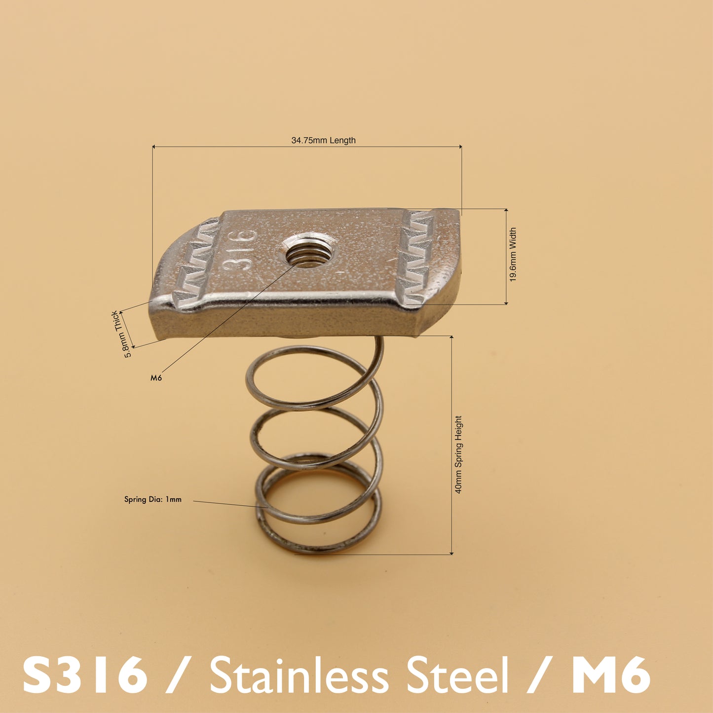 S316 Long Spring Nut | Stainless Steel Unistrut Nut (M6-M12)